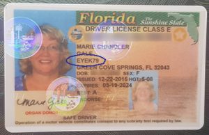 drivers-license