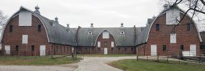 cow barns